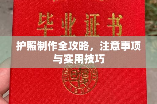 青羊护照制作全攻略，注意事项与实用技巧